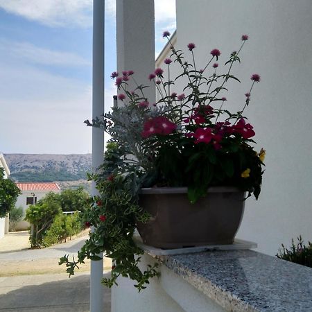 Apartment Edina Pag Pag Town Exteriér fotografie