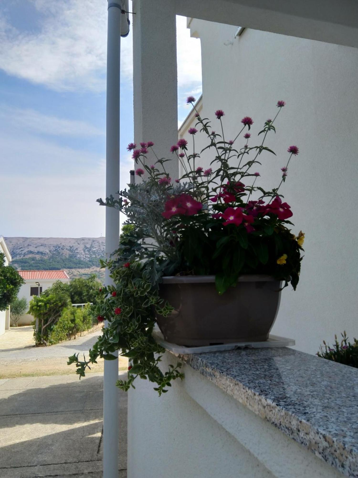 Apartment Edina Pag Pag Town Exteriér fotografie
